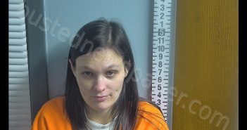 ANYSSA MARIE FOX-CRAWFORD | 2019-08-07 00:49:00 Ottawa County, Ohio Booking