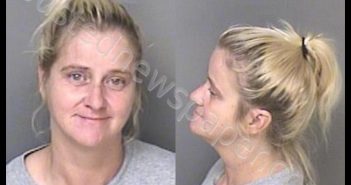 ROWELL, JILL ELIZABETH | 2019-08-07 07:27:00 Gaston County, North Carolina Booking