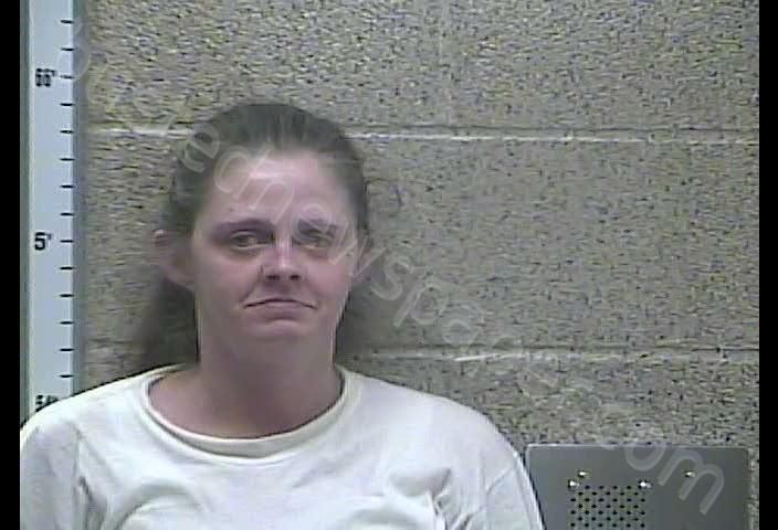 GLENDA PERRY #, Henderson County, Kentucky - 2019-08-07 20:25:00