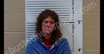 WHITENER, COURTNEY MARLANA | 2019-08-07 23:15:00 Cherokee County, North Carolina Booking
