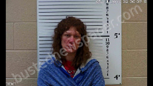 WHITENER, COURTNEY MARLANA #, Cherokee County, North Carolina - 2019-08-07 23:15:00