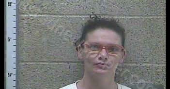 MATTIE MCCLURE | 2019-08-07 20:41:00 Henderson County, Kentucky Booking