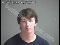 VALLIER AUSTIN R | 2019-08-07 Sandusky County, Ohio Booking