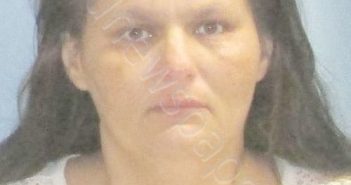 CRUZ,<B>LISA</B> ANN #, Pulaski County, Arkansas - 2019-08-07 03:19:00