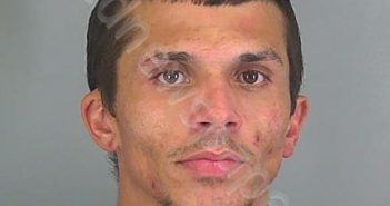<B>JACOB</B> <B>MATTHEW</B> <B>SELLAR</B>–<B>DECK</B> #, Spartanburg County, South Carolina - 2019-08-08 09:37:47