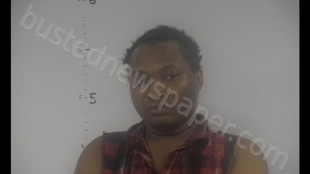 ANTONIO LEE ELLIOTT #, Western Tidewater, Virginia - 2019-08-08 12:38:00