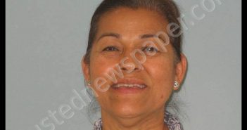 PENA, ROSA MARIA | 2019-08-08 Andrews County, Texas Booking