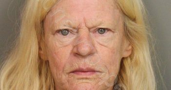 FRICKE, NANCY RENEA | 2019-08-08 02:17:00 Jefferson County, Alabama Booking