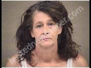 LYNN, TINA | 2019-08-09 Harnett County, North Carolina Booking