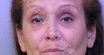 <B>BERRIOS</B>, <B>VIVIAN</B> INEZ #, Polk County, Florida - 2019-08-09