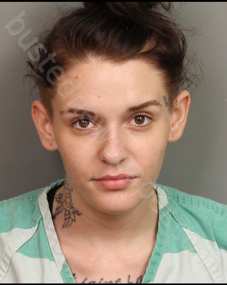 SATTERLEE, BRILEIGH FAITH #, Jefferson County, Alabama - 2019-08-10 14:03:00