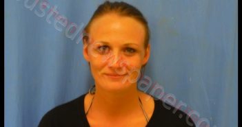ASHLEY NICHOLE HAWTHORNE | 2019-08-10 16:32:00 Henry County, Missouri Booking