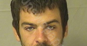EDWARDS, GREGORY SCOTT, JR. | 2019-08-10 20:30:00 Wood County, West Virginia Booking
