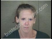 JONES, HEATHER | 2019-08-10 Harnett County, North Carolina Booking
