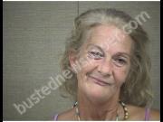 SCHALL, LISA | 2019-08-11 Harnett County, North Carolina Booking