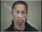 RUFFIN, MARY | 2019-08-11 Harnett County, North Carolina Booking