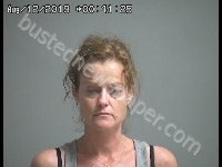 REINHEIMER KELLY A | 2019-08-11 Sandusky County, Ohio Booking