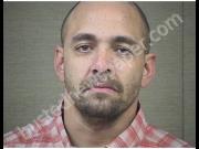 JOHNSON, MCQUINN | 2019-08-11 Harnett County, North Carolina Booking