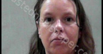 DAVIS, SHELLY RAY | 2019-08-12 09:44:00 Tyler County, West Virginia Booking
