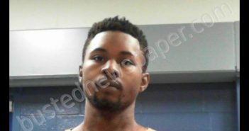 CHANDLER, ALAPHIA ASHAE ELISHA | 2019-08-12 17:45:00 Kanawha County, West Virginia Booking