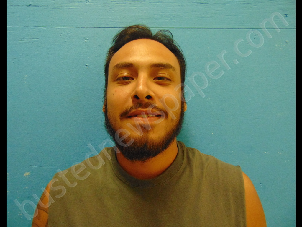 GRANATO, MICHAEL LAUREN #, Guadalupe County, Texas - 2019-08-12