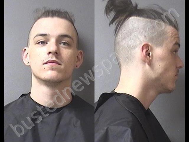 BRYSON, DYLAN COLE #, Madison County, Indiana - 2019-08-13 00:58:00