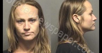 TERRELL,AMANDA CORRINE | 2019-08-13 03:33:00 Saline County, Kansas Booking