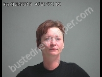 BALDWIN ALICIA | 2019-08-13 Sandusky County, Ohio Booking