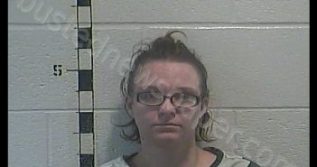 ASHLEY NICHOLE BUCKNER | 2019-08-15 18:18:00 Shelby County, Kentucky Booking