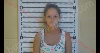 SAMANTHA SEARS | 2019-08-16 19:48:00 Taylor County, Kentucky Booking
