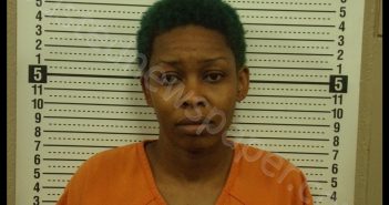 LASHIEKA MARIE HOLLIS | 2019-08-16 17:13:00 Scott County, Missouri Booking