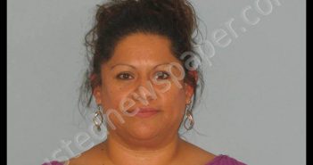 GONZALEZ, ROSA | 2019-08-16 Andrews County, Texas Booking