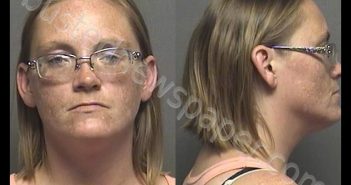 HICKEY,MELISSA DAWN | 2019-08-17 09:55:00 Saline County, Kansas Booking