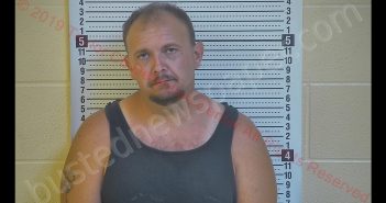 WILLIAM J HUDGINS | 2019-08-17 22:36:00 Taylor County, Kentucky Booking