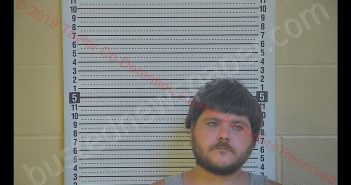 WILLIAM DESPAIN | 2019-08-17 17:59:00 Taylor County, Kentucky Booking