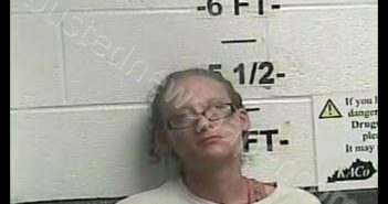 DOROTHY NATOSHA BENNETT | 2019-08-17 00:30:00 Whitley County, Kentucky Booking