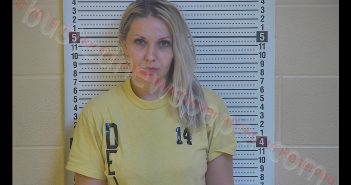 KELLY M STEELE | 2019-08-17 22:01:00 Taylor County, Kentucky Booking