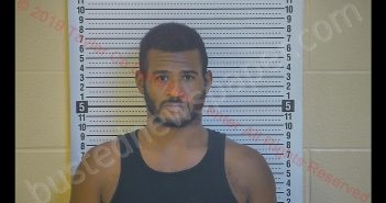 ANTHONY ANDERSON | 2019-08-17 03:24:00 Taylor County, Kentucky Booking