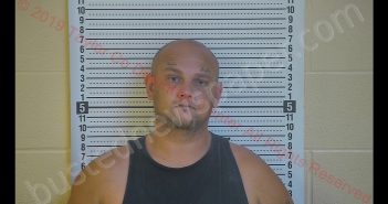 TIMOTHY W CURRY | 2019-08-17 17:06:00 Taylor County, Kentucky Booking