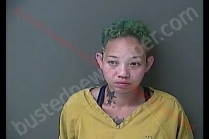 CHONGHUI DENECE HANNAH | 2019-08-18 08:04:00 Howard County, Indiana Booking