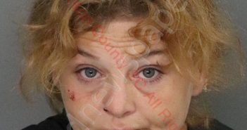 LISA MICHELLE BUSH | 2019-08-18 02:33:00 Anderson County, South Carolina Booking