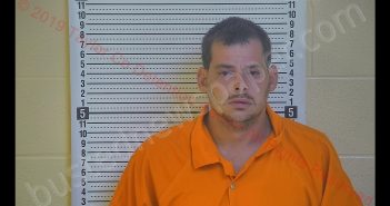 SHALEN C FOLLOWELL | 2019-08-18 02:56:00 Taylor County, Kentucky Booking