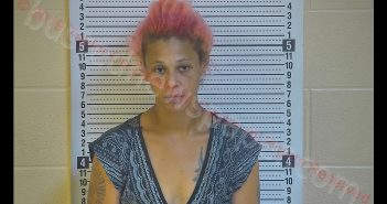 DOMETRIC D JONES | 2019-08-18 15:42:00 Taylor County, Kentucky Booking