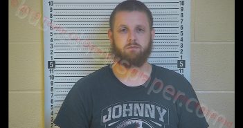 BRIAN BRANDON BALDWIN | 2019-08-19 22:28:00 Taylor County, Kentucky Booking