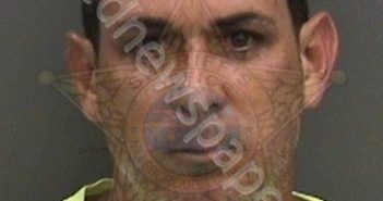 ALVAREZ-<B>GONZALEZ</B>,MICHEL #, Hillsborough County, Florida - 2019-08-19 02:17:00