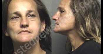 CRANEY,DIANNA KAY | 2019-08-19 01:03:00 Saline County, Kansas Booking