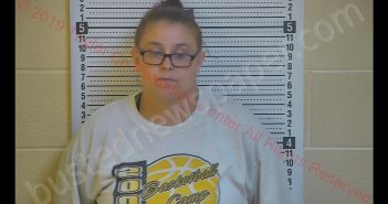 CASSIE R SHORT | 2019-08-20 19:22:00 Taylor County, Kentucky Booking