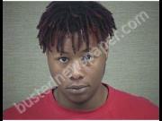 BREWINGTON, PAYTON | 2019-08-20 Harnett County, North Carolina Booking