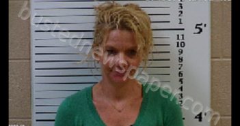 PALMER, CARRIE REBECCA | 2019-08-20 10:55:00 Cherokee County, North Carolina Booking
