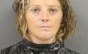 <B>HICE</B>, <B>AMANDA</B> <B>RAY</B> #, Cherokee County, South Carolina - 2019-08-20